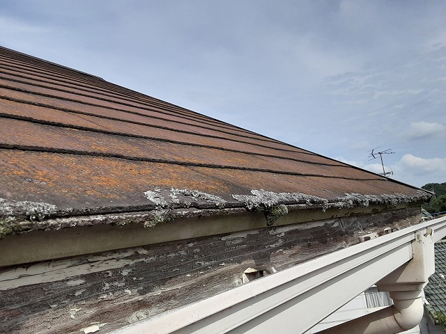 コケが生えたスレート屋根